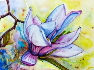 Una magnolia in piena fioritura da Anda Bieza