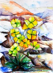 Fiori di montagna dai colori vivaci da Anda Bieza