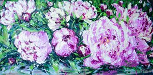 Peonie rosa vivaci
