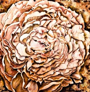Caldo fiore di peonia da Anda Bieza