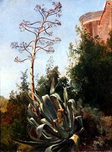 Paesaggio; Italia meridionale da Anders Christian Lunde