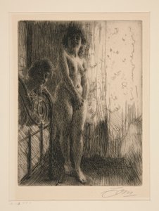 Un Angolo Buio da Anders Leonard Zorn