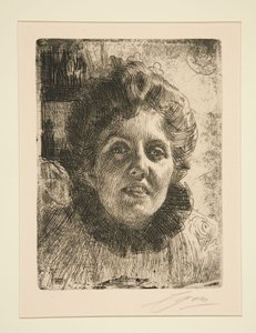  da Anders Zorn