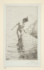 Cerchi d