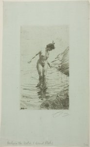 Cerchi d