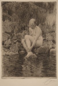  da Anders Zorn