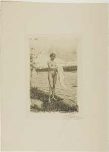 Fiume Dal da Anders Leonard Zorn