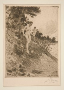 Spaventato da Anders Leonard Zorn