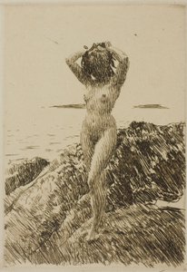 Hårtång (Ghirlanda di alghe) da Anders Zorn