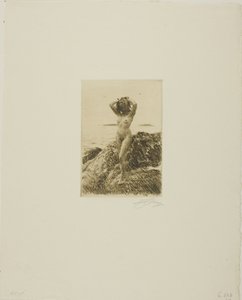 Corona di alghe marine da Anders Leonard Zorn