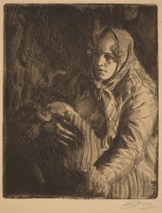  da Anders Zorn