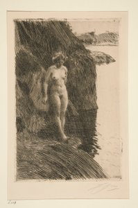 Precipizio da Anders Leonard Zorn
