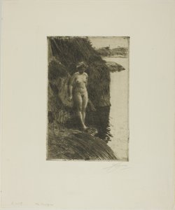 Precipizio da Anders Leonard Zorn