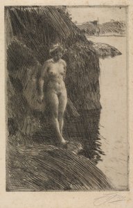 Precipizio da Anders Zorn