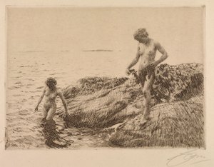 Scogliere verso il mare da Anders Leonard Zorn