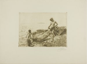 Scogliere verso il mare da Anders Leonard Zorn