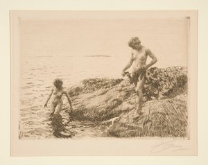 Scogliere verso il mare da Anders Leonard Zorn