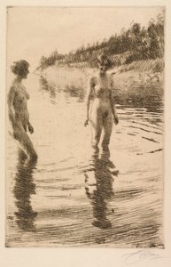 Poco profondo da Anders Leonard Zorn