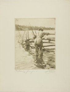 La recinzione da Anders Leonard Zorn