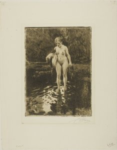 Il guado