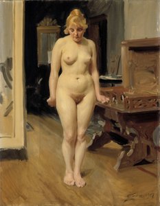  da Anders Zorn