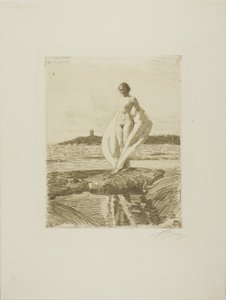 Il Cigno da Anders Leonard Zorn