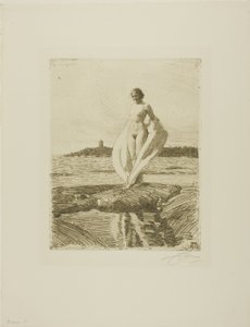 Il cigno da Anders Leonard Zorn