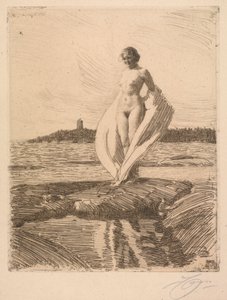 Il Cigno da Anders Leonard Zorn