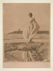 Il cigno da Anders Leonard Zorn
