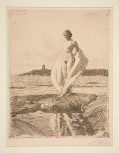 Il cigno da Anders Leonard Zorn