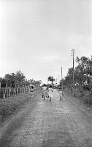 UVA AMARA - VERSO IL POSTO ASSEGNATO da Ando Gilardi