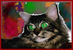 STREGATTONE, 2004 (Pittura digitale)