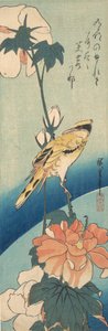 Un oriolo dal collare nero su un gambo di ibisco, ca. 1834 da Ando Hiroshige