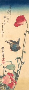 Un uccello azzurro e papaveri da Ando Hiroshige