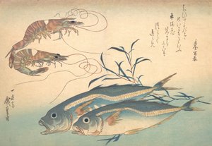 Pesce Aji e Kuruma-ebi, dalla serie Uozukushi Ogni varietà di pesce da Ando Hiroshige