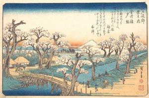 Bagliore serale al confine di Koganei da Ando Hiroshige