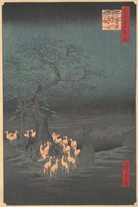 Volpi che si incontrano a Oji, 1857