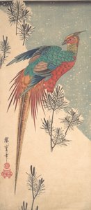 Fagiano dorato e germogli di pino nella neve, ca. 1835 da Ando Hiroshige