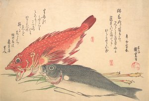 Isaki e pesce Kasago, dalla serie Uozukushi Ogni varietà di pesce da Ando Hiroshige
