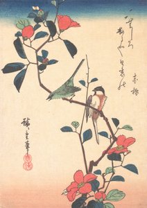 Occhio bianco giapponese e cincia su un ramo di camelia da Ando Hiroshige