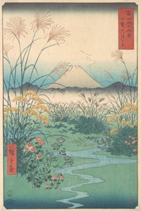 Kai, Otsuki no Hara, anno del cavallo del 4° mese 1858 da Ando Hiroshige