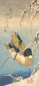 Anatra Germano Reale e Canne Coperte di Neve, ca. 1832 da Ando Hiroshige