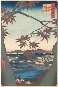 Aceri a Mama, dalla serie Cento famosi paesaggi di Edo, ca. 1857 da Ando Hiroshige
