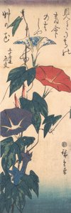Glorie del mattino da Ando Hiroshige