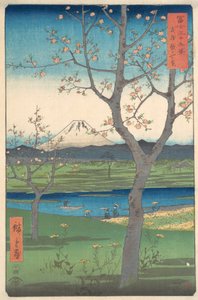 Musashi, Koshigaya Zai, anno del cavallo, quarto mese 1858 da Ando Hiroshige