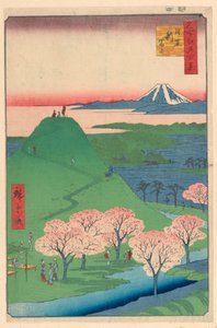 Nuovo Fuji, Meguro dalla Serie Cento Vedute Famosi di Edo da Ando Hiroshige