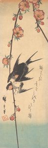Fiori di pero e rondini, ca. 1840 da Ando Hiroshige