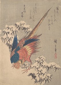 Fagiano tra bambù carichi di neve sulla collina da Ando Hiroshige