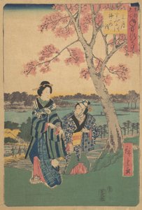 Visita ai fiori di prugno nel terzo mese al fiume Sumida dalla serie Eventi annuali a F...