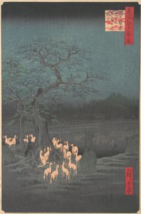 Albero Shozokuenoki a Oji: Fuochi di volpe alla vigilia di Capodanno